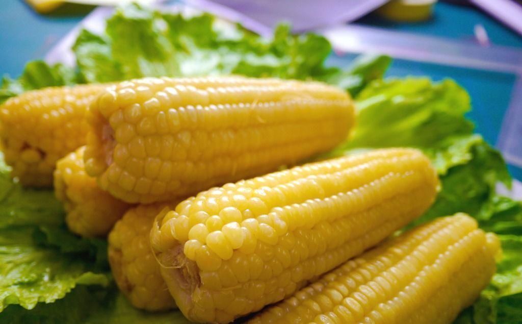 牡蠣|玉米不能與此物一起食用,卻有很多人在傻傻的吃,看完告訴身邊人