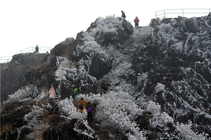 雪景|广东这几个地方这周可能会下雪，雪景最漂亮在这几个地方