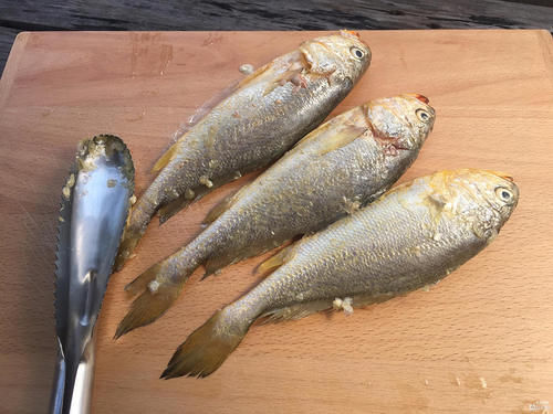 今天才知道，鱼身上3个地方毒素最多，不要随便吃，长记性了