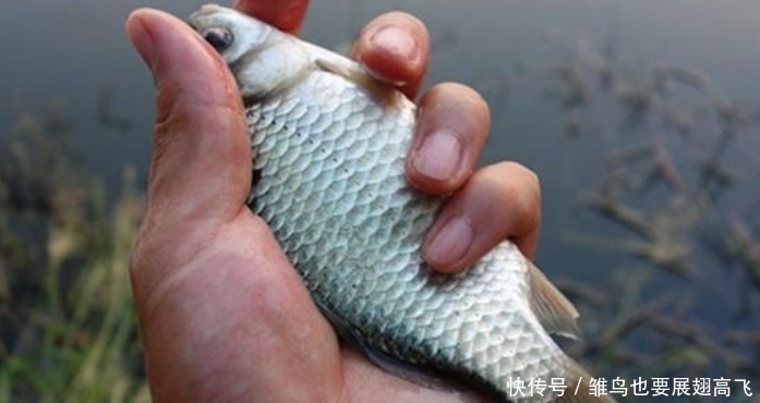 冬钓选点,结合情况用谚语,细微之处见本领