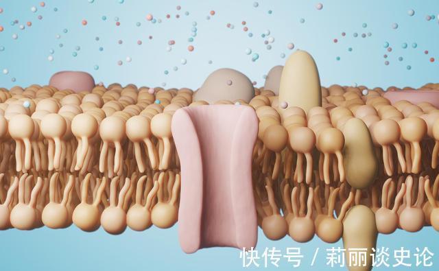 减肥|节食减肥可行吗？会不会反弹？真正弄懂这1增1减，从此减肥不用愁