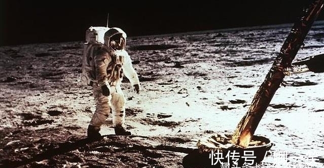 富不过三代$10个冷知识:哈佛大学图书馆中,收藏着一类“人皮书籍”