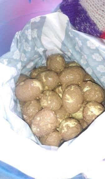 好吃|皮蛋再也不用出去买了,在家轻松制作,无铅,好吃,实惠还简单!