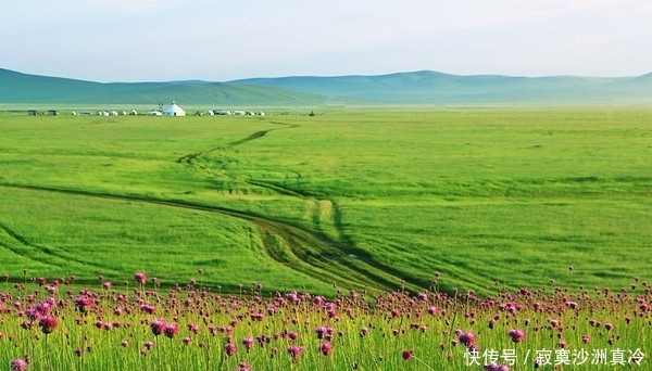 青青草原的香草味