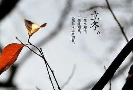 释菜礼|报名!周六一起到浙博学习尊师敬道释菜礼