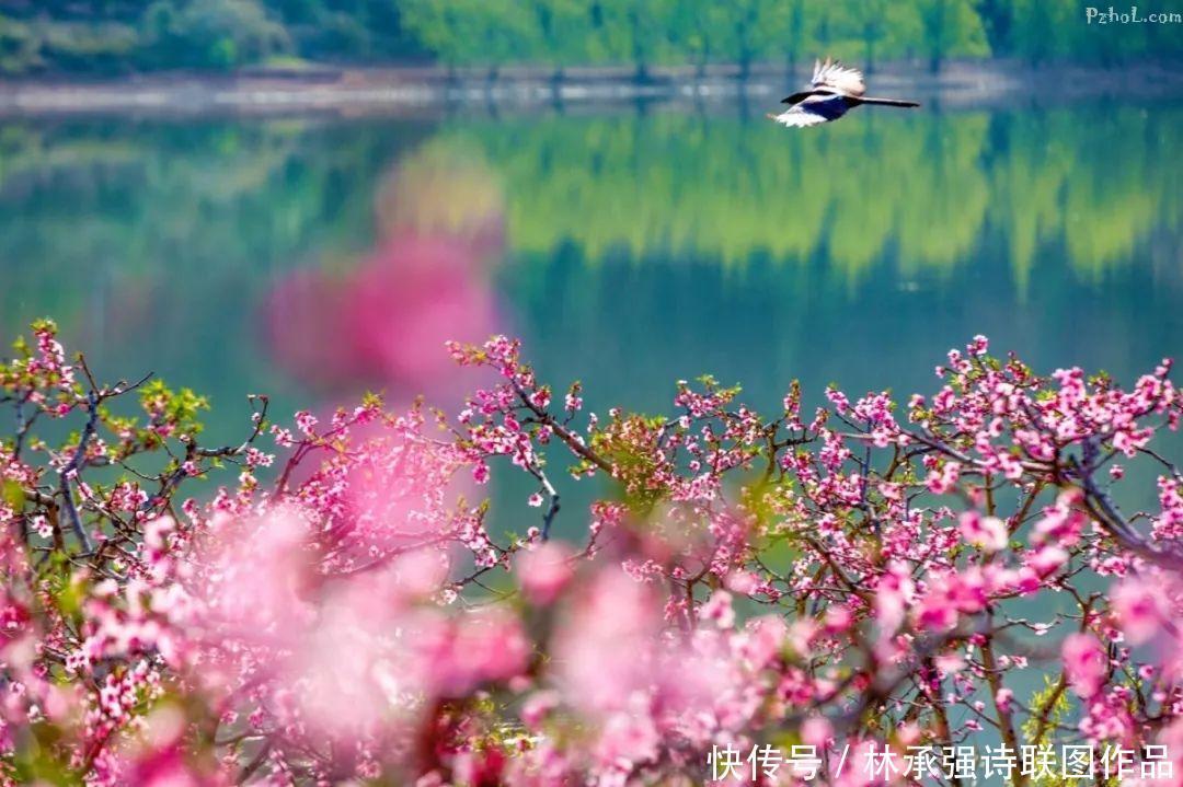 攀枝花海塔世外桃源风景区