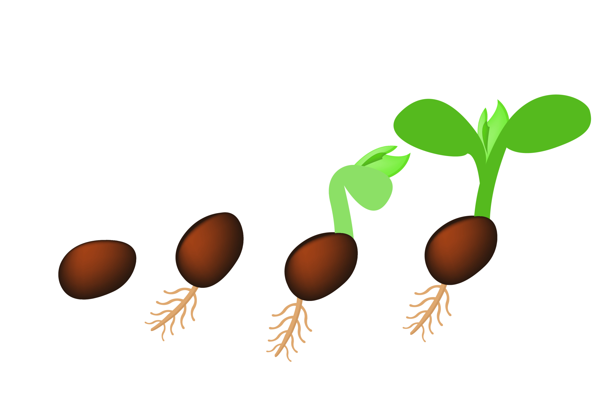 备孕|长得好好的胚胎突然停止发育了?多半跟这些原因有关