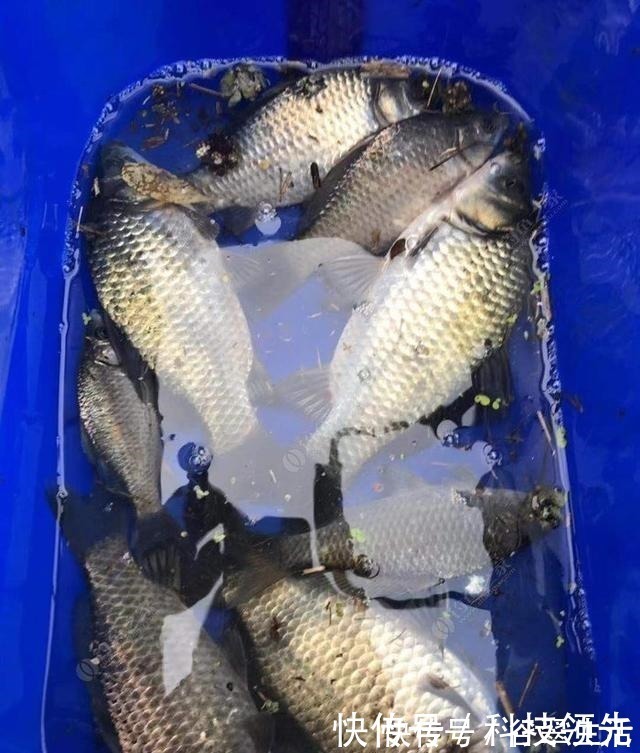 马扎|钓鱼的三个阶段，各位钓友你们现在处于哪个阶段