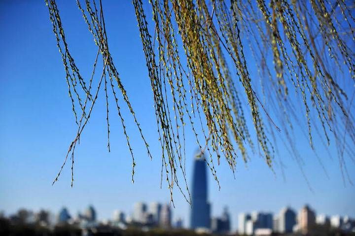 老年|春节遇上春天，春暖花开在路上