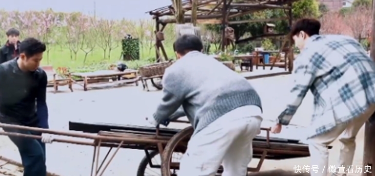 张艺兴拿到拖拉机驾照上热搜,看到有效期后,他真要常驻蘑菇屋了