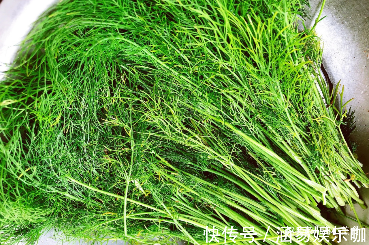 三伏|三伏天吃饺子，牛肉、韭菜都不如此馅解馋！营养清鲜，清香开胃