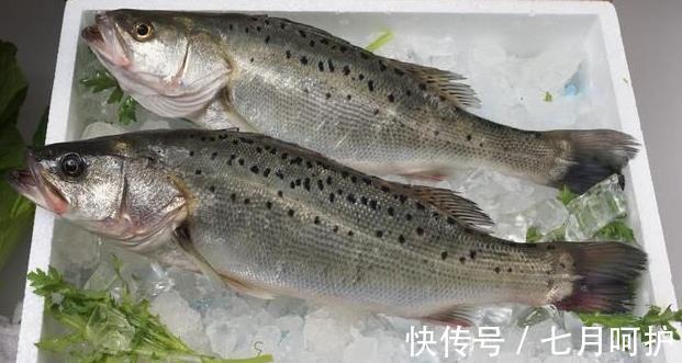 鲈鱼|天热吃鱼，内行人专挑这4种海鱼，营养美味还便宜，再贵也值得！
