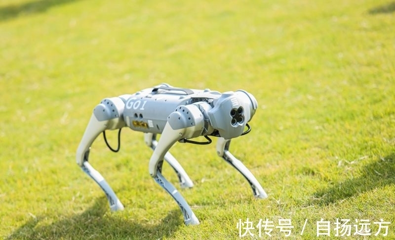 奇趣|别眨眼!科大讯飞全球1024开发者节带你领略 黑科技智能未来