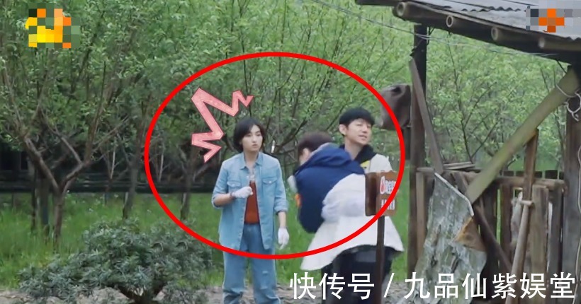 子枫妹妹|张艺兴被彩灯吓到大叫,转身扑进何炅怀里,子枫妹妹的表情成焦点