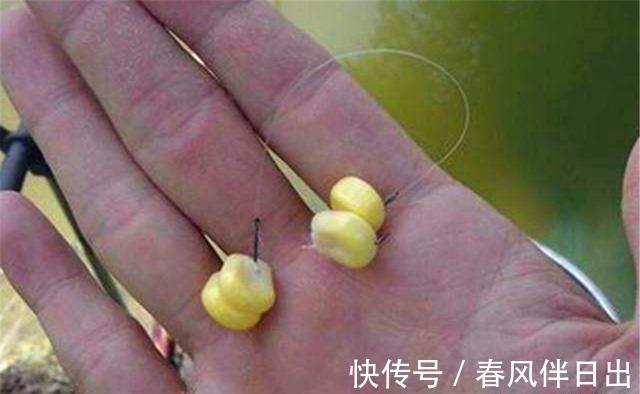 饵料|大河向东流哇，夏季活水出大鱼呀！野钓活水河流，要注意这些讲究