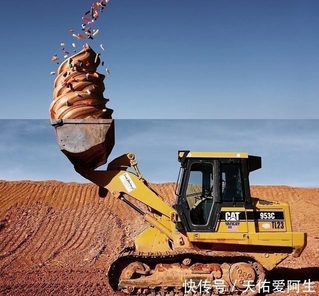 图片@艺术家将两张不同的图片拼接后,奇迹就这样发生了