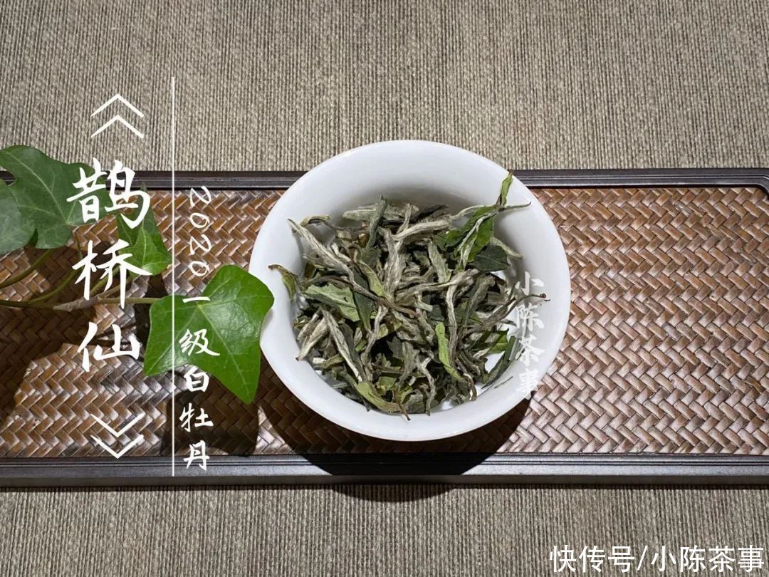  白牡丹|花香满颊，汤水劲滑，时隔7个月，2020白牡丹有了哪些变化？