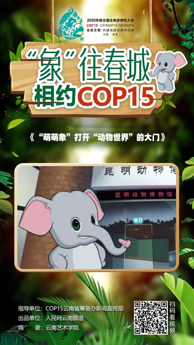 【“象”往春城 相约COP15】“萌萌象”打开“动物世界”的大门