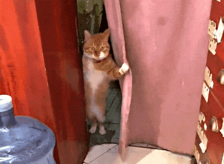 |搞笑GIF段子：这位大哥你怎么能这么妖娆？