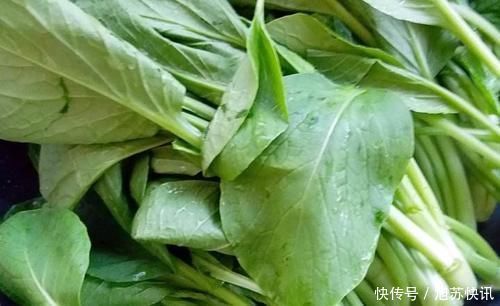  营养|这菜常吃但没包过饺子，比白菜便宜，比人参营养，30个不够吃