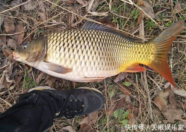 野钓人多时如何提升渔获?爆护难但有好收获不难