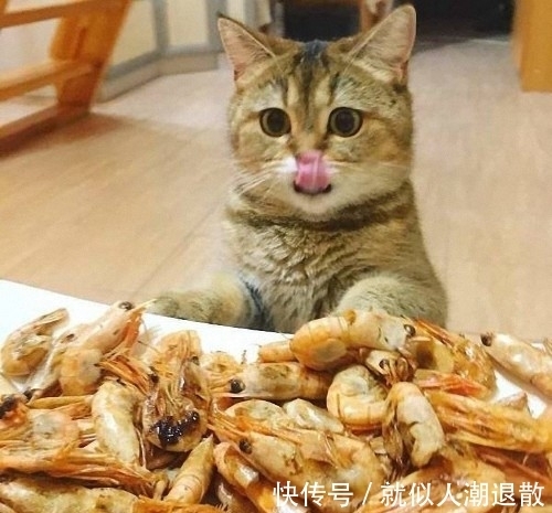 |搞笑图片幽默段子笑话: 这房子造的不错,但是估计没几个人敢住