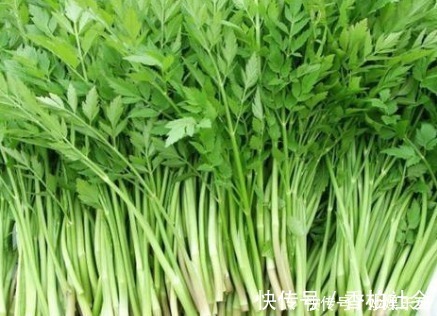 长在水边的野菜,营养不输菠菜,11月正鲜嫩,4元1斤记得买来吃