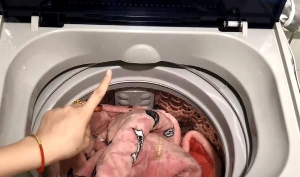 洗衣服别再只放洗衣液了，多加一碗它，洗出来的衣服更加干净卫生