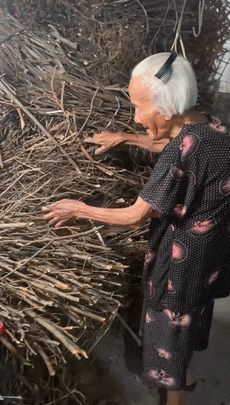 老人|全县“最大网红”！这位102岁奶奶火了