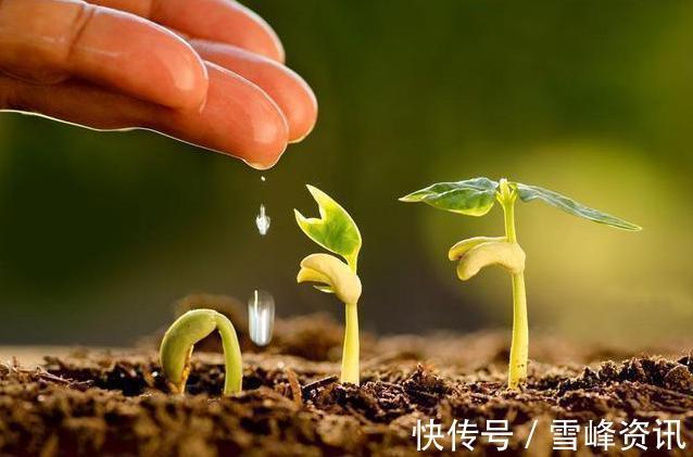 以后们|“见干见湿”原来是这个意思,我一直没搞懂,难怪养不好花