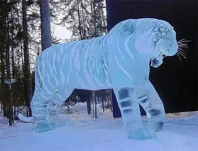 冰雪运动|“人文临洮冰雪筑梦”文化旅游节开幕十项体验活动等你来玩