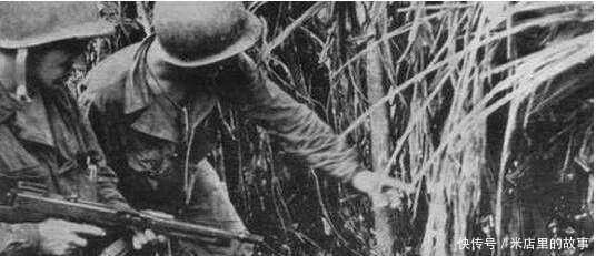 部队|日军史上最惨的部队，被数千只鳄鱼袭击，900名日军葬身鳄腹