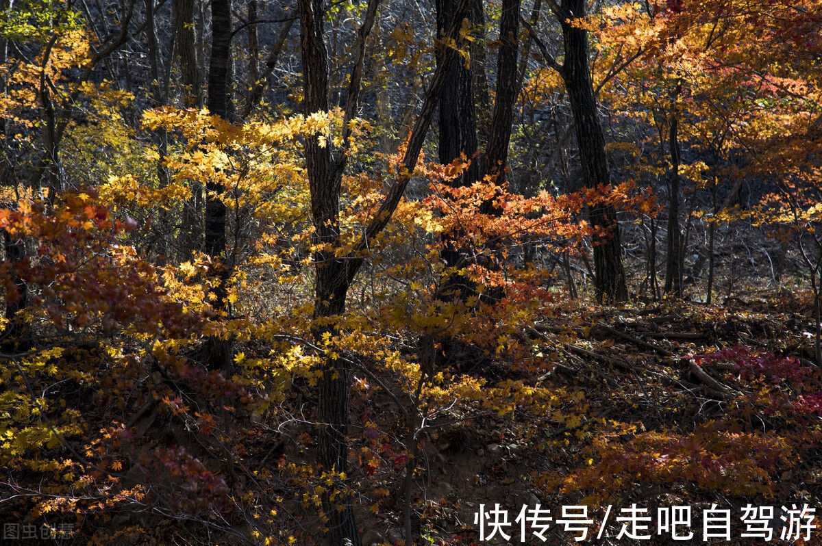 秋季|贵州第一县！独揽贵州最美秋天，不愧是中国最宜居的小城