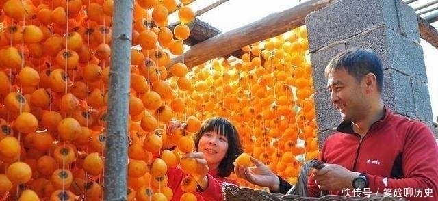 道理|俗语“男怕柿子,女怕犁,母猪最怕西瓜皮”,啥意思有道理吗