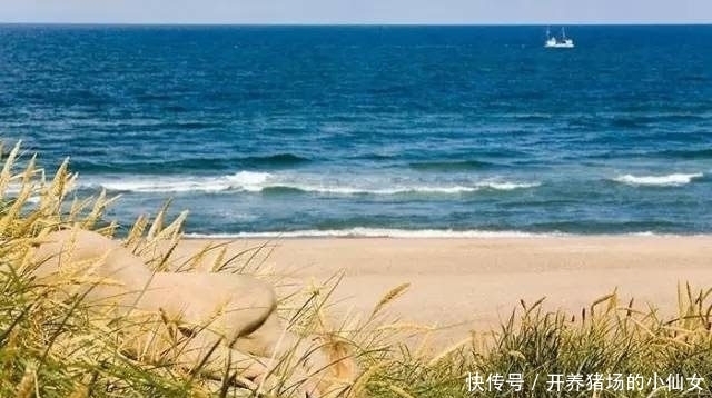 少女|18张图都隐藏着少女,找出6个正常,9个聪明,14个以上天才