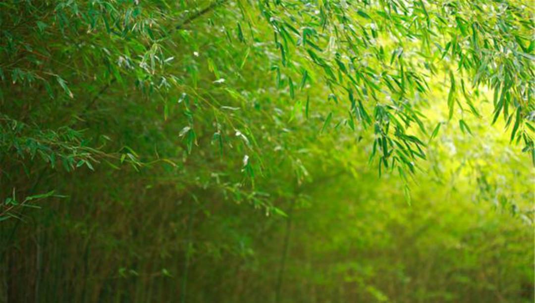 长安#王维的境界无人能及,晚年写下的这首五绝,一字一句超凡脱俗!