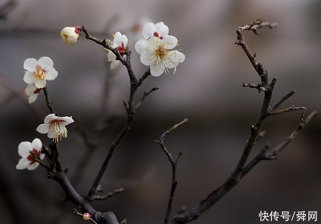 7月，邂逅旧情，前世回眸，痴心决定，相爱到底的生肖