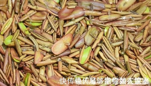 女性|女性想身体变好,多吃以下食物,清热解毒,杀菌消炎,活血排毒素