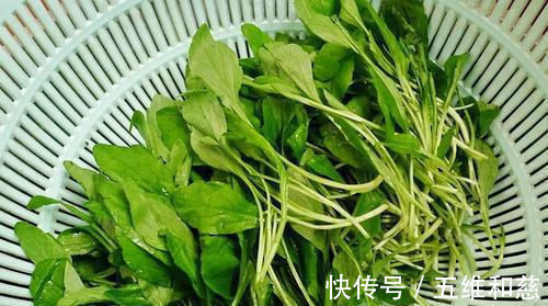 马兰头|肝不好的人,烧开水撒一把,没事喝点,帮助肝脏排毒,养肝又明目