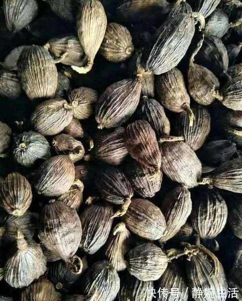 卤牛肉时,最忌放这3样香料,否则毁了一锅肉,味道发苦,很难吃