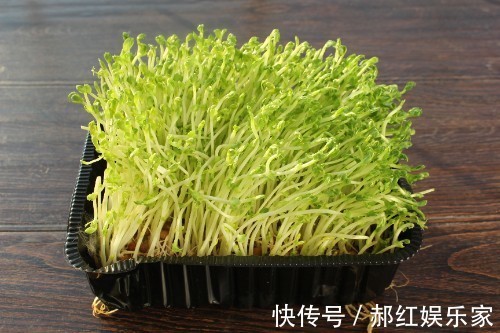 一道菜|越吃越瘦的一道菜,5块钱炒一大盘,清肠降脂,春天减肥多吃几次