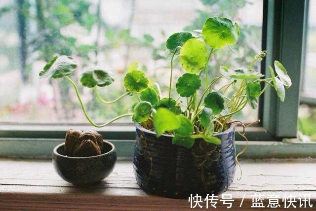 小矮柜|让新家变美的6个软装小技巧,实用简单,从细节入手新家美翻天