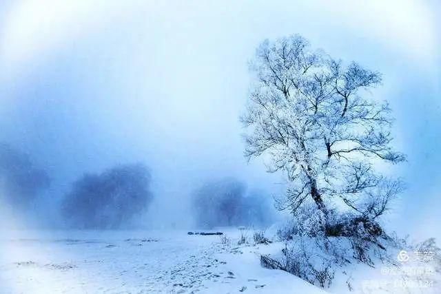 童话|冰天雪地，童话吉林