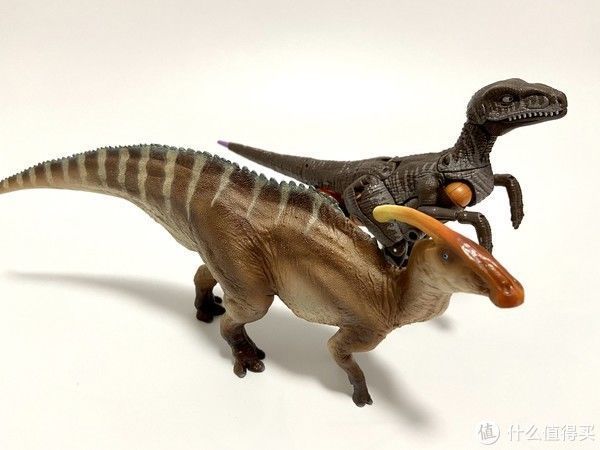 赵闯|恐龙模型 篇一:除了没有可动,其他基本完美——PNSO副栉龙把玩分享
