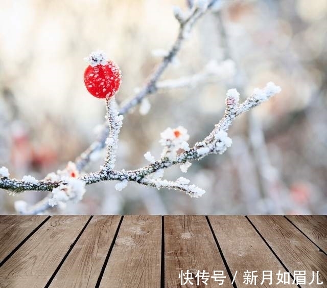冬天&散文,浅墨初冬,霜露浓