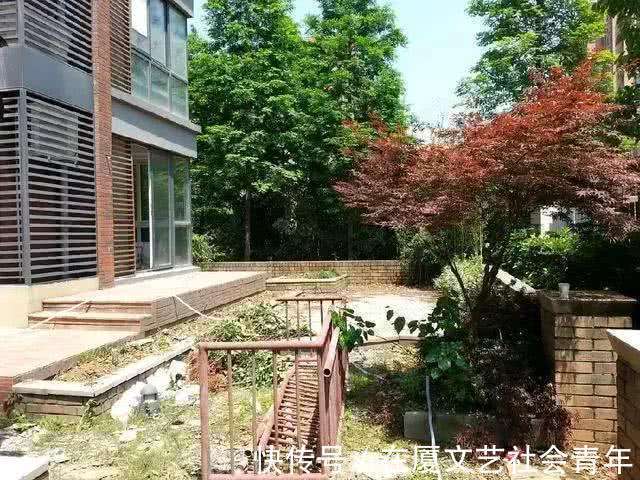 电梯房|离职售楼大姐透露:买电梯房最好别选4个楼层,聪明人看了就明白