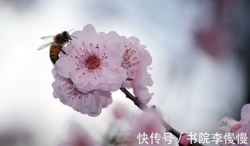 余生|15天内，再遇佳人，承受打击，为其遮风挡雨，相伴余生，共度余生