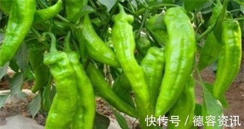 香蕉|人到中年,坚持常吃4种食物,降压减脂,养护血管,抗衰老