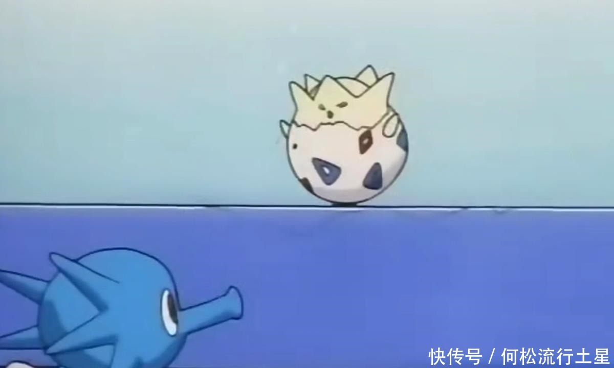 波克基古|《宝可梦》动画第一颗精灵蛋备受呵护的波克比，小霞捡了大便宜