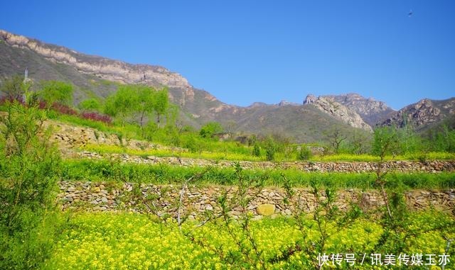 自驾游常馨谷：追寻春天最后一抹油菜花